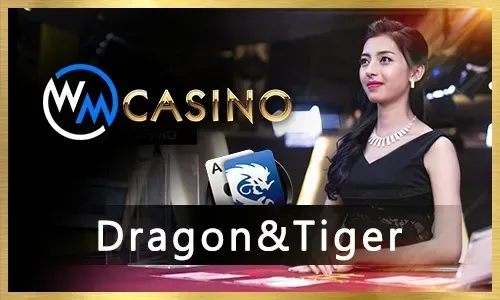 Live Poker table with dealer and chips